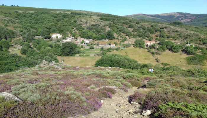 http://6666occitane.fr/images/slide_accueil/03-madale.jpg