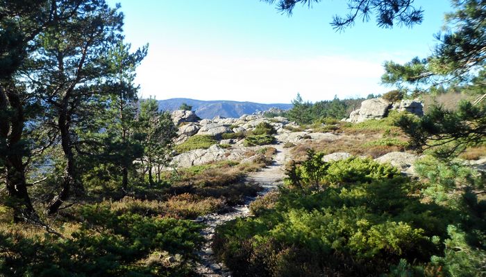 http://6666occitane.fr/images/slide_accueil/10-caroux.jpg