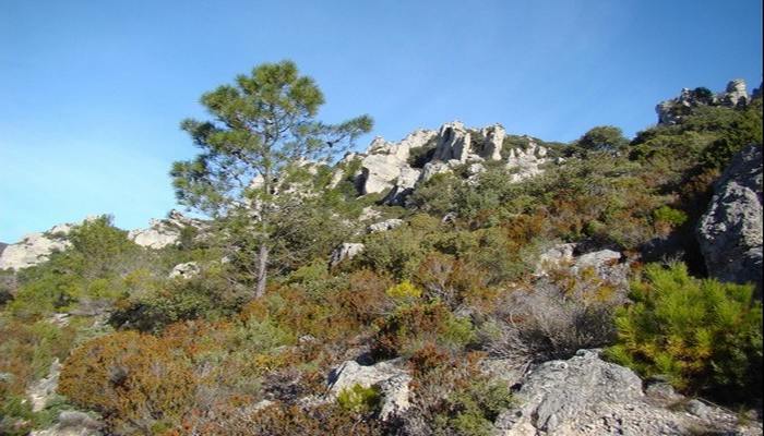 Cirque de Moureze