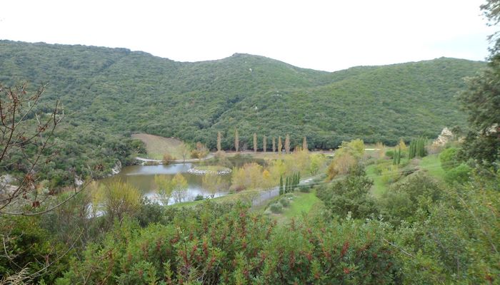 Lac des Olivettes