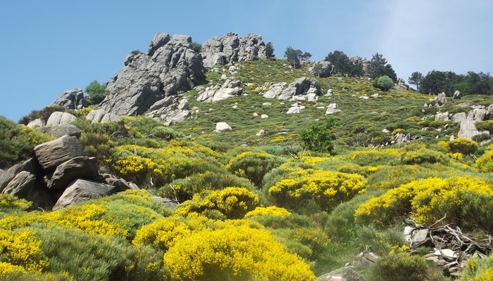 Pic du Montahut